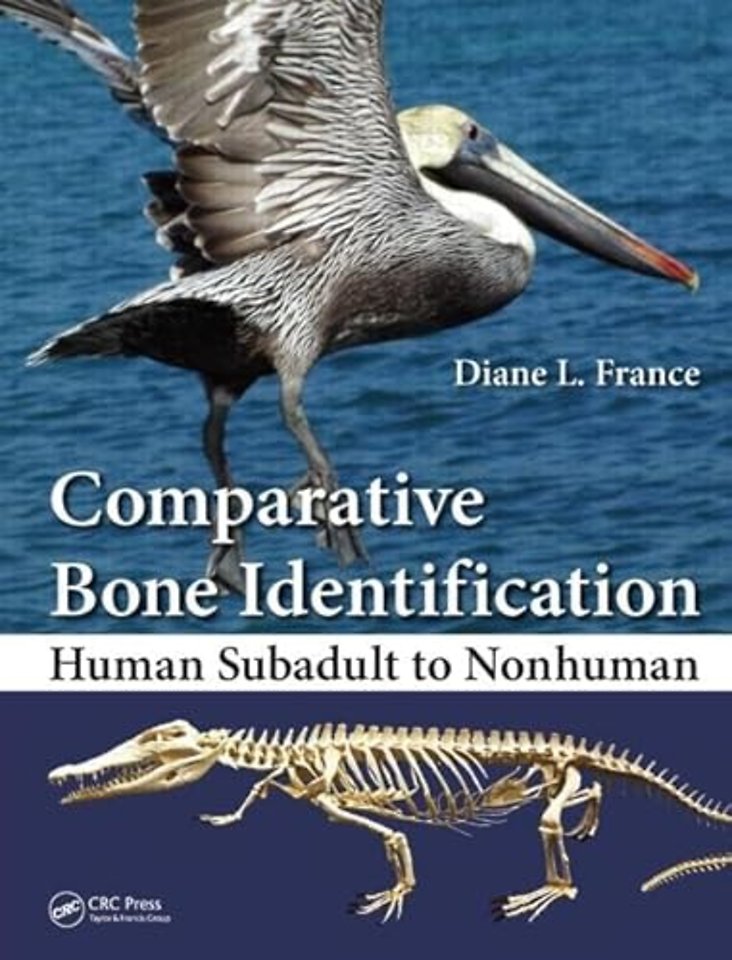 Comparative Bone Identification