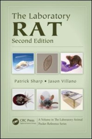 Laboratory Rat
