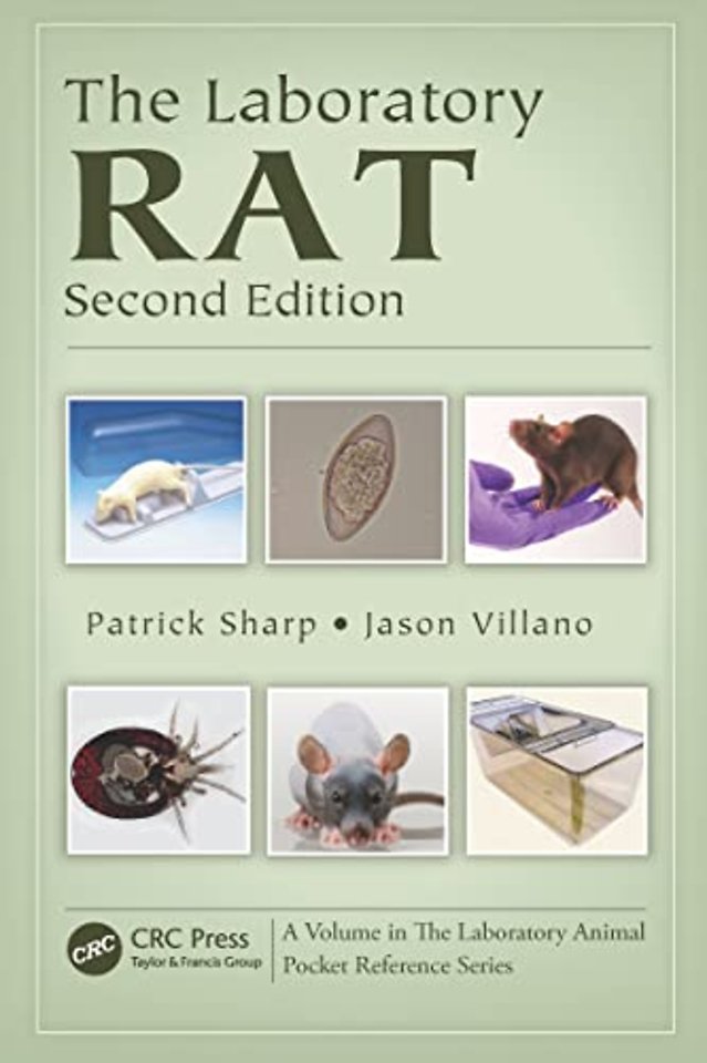 Laboratory Rat