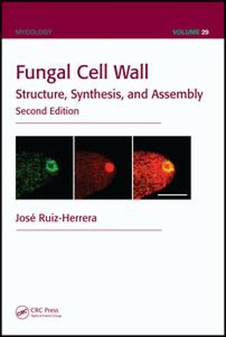 Fungal Cell Wall
