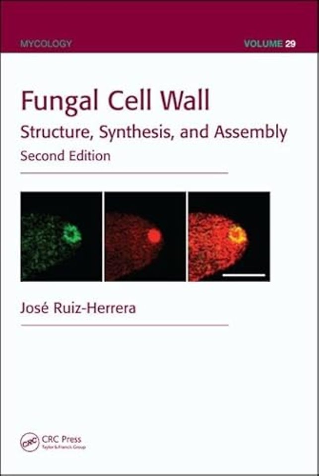Fungal Cell Wall