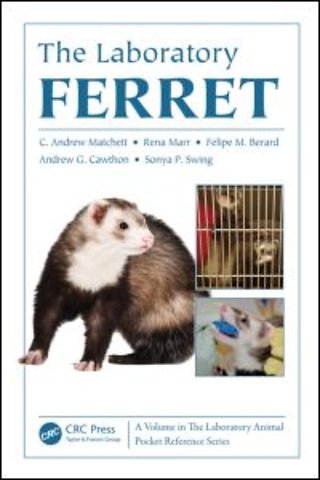 Laboratory Ferret
