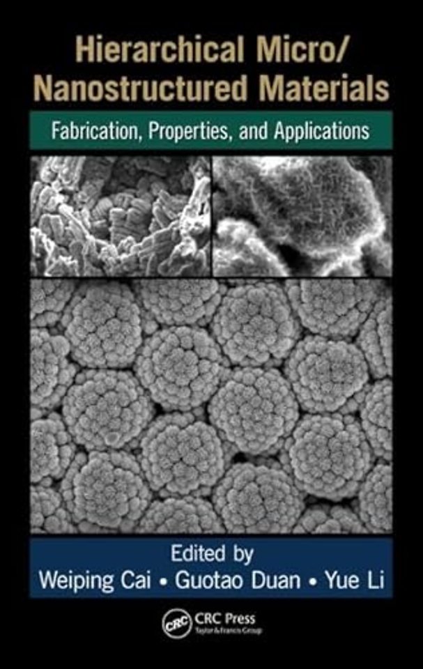 Hierarchical Micro/Nanostructured Materials