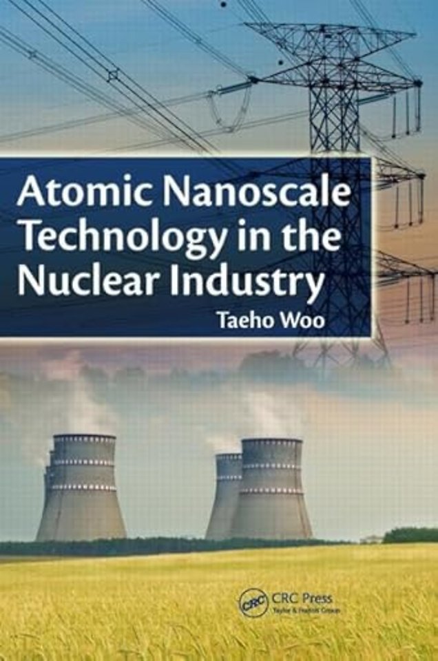 Atomic Nanoscale Technology in the Nuclear Industry
