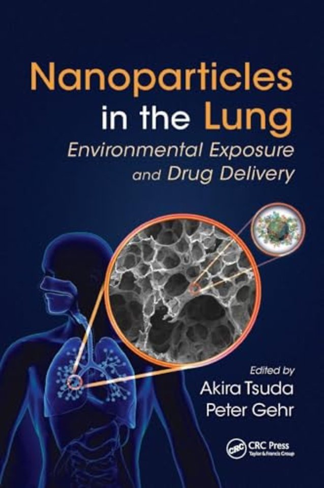 Nanoparticles in the Lung