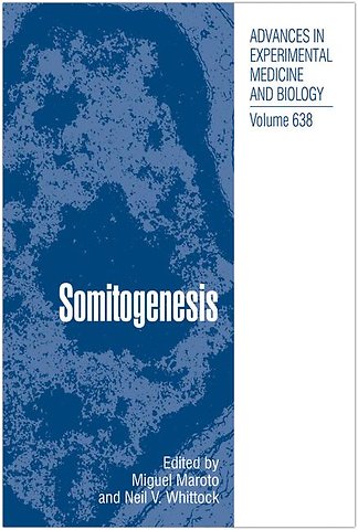 Somitogenesis