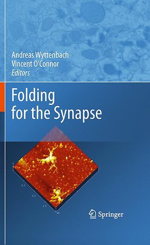 Folding for the Synapse