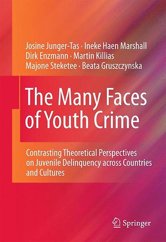 The Many Faces of Youth Crime