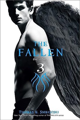 The Fallen 3