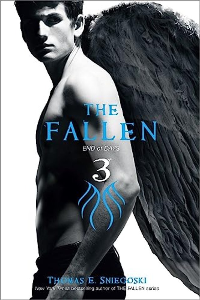 The Fallen 3