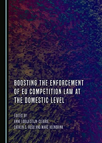 Boosting the Enforcement of EU Competition Law at the Domestic Level