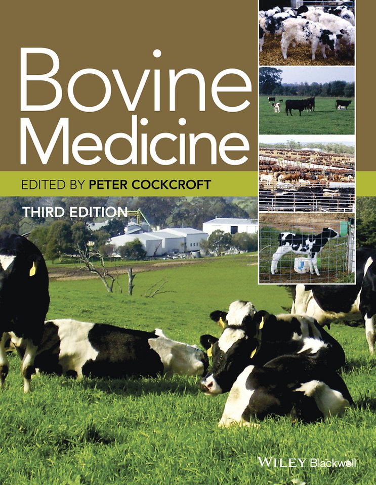 Bovine Medicine, 3e