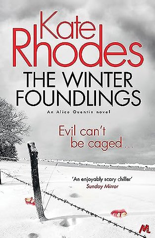 The Winter Foundlings