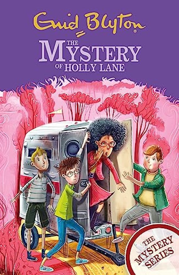 The Mystery Series: The Mystery of Holly Lane