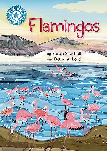 Reading Champion: Flamingos