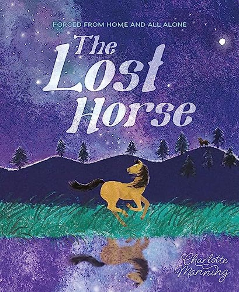 The Lost Horse