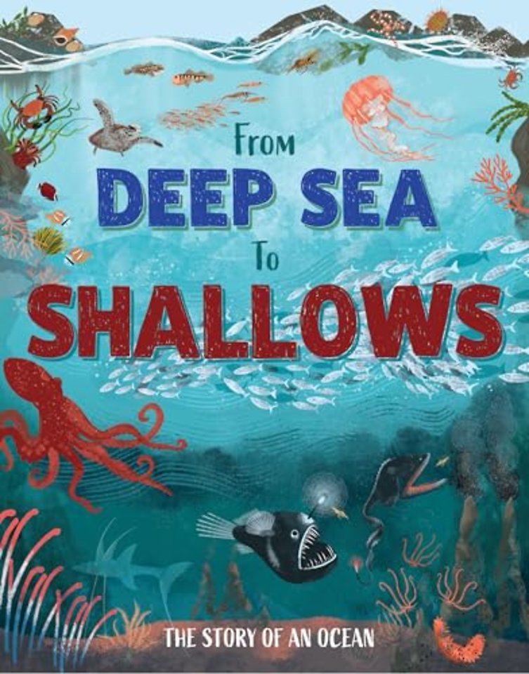 From Deep Sea to Shallows: The Story of Oceans