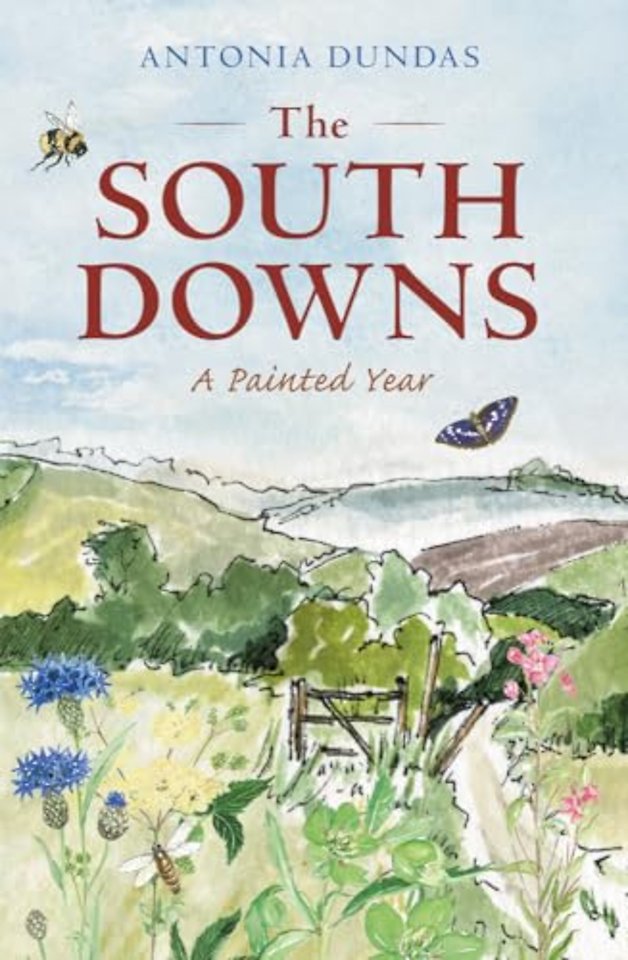 The South Downs