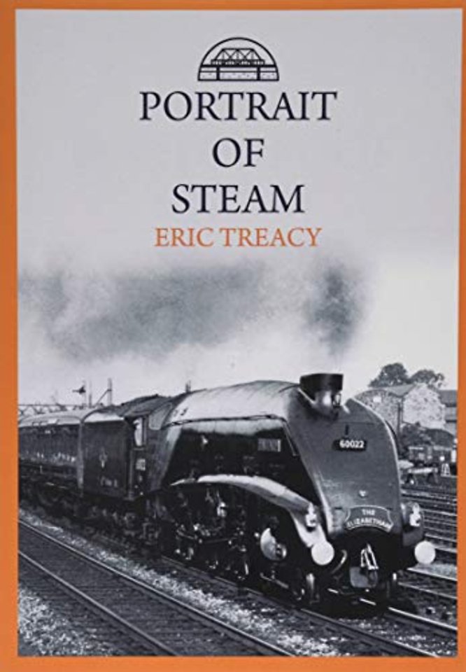 Portrait of Steam