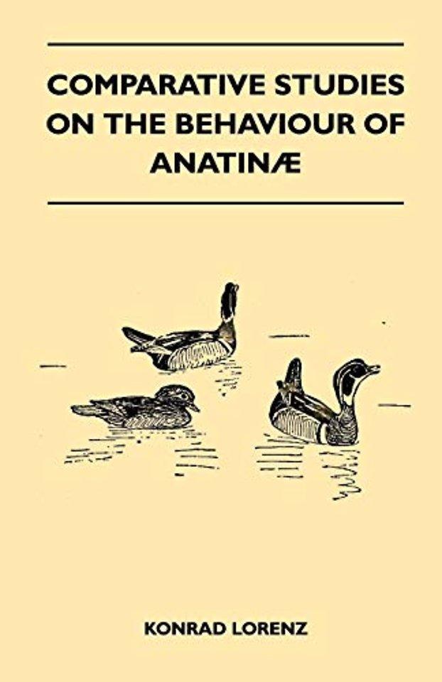 Comparative Studies on the Behaviour of Anatina