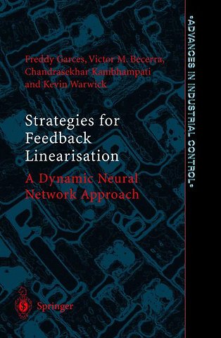 Strategies for Feedback Linearisation