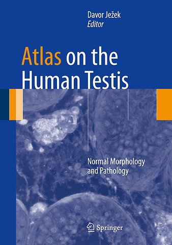 Atlas on the Human Testis