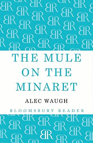 The Mule on the Minaret