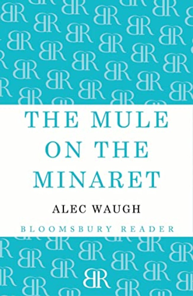 The Mule on the Minaret