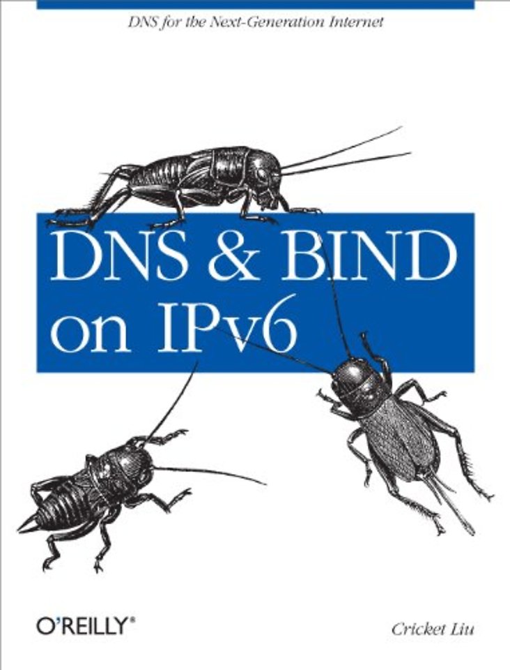 DNS & BIND in IPv6