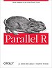 Parallel R Parallel R