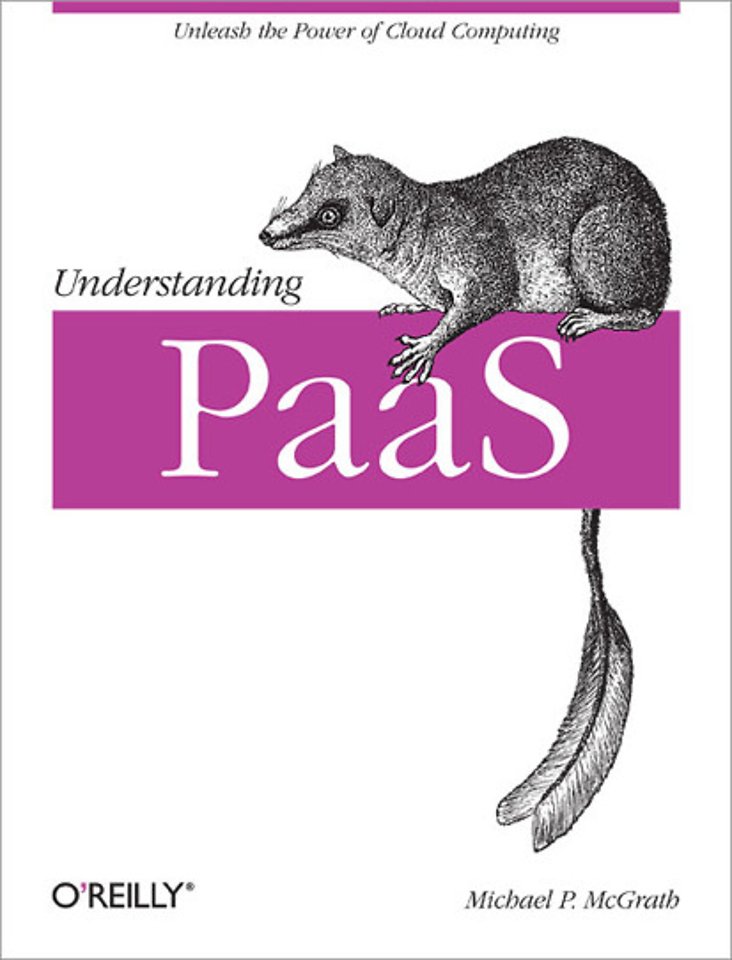Undestanding PaaS Undestanding PaaS