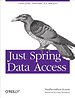 Just Spring Data Access