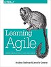 Learning Agile Learning Agile