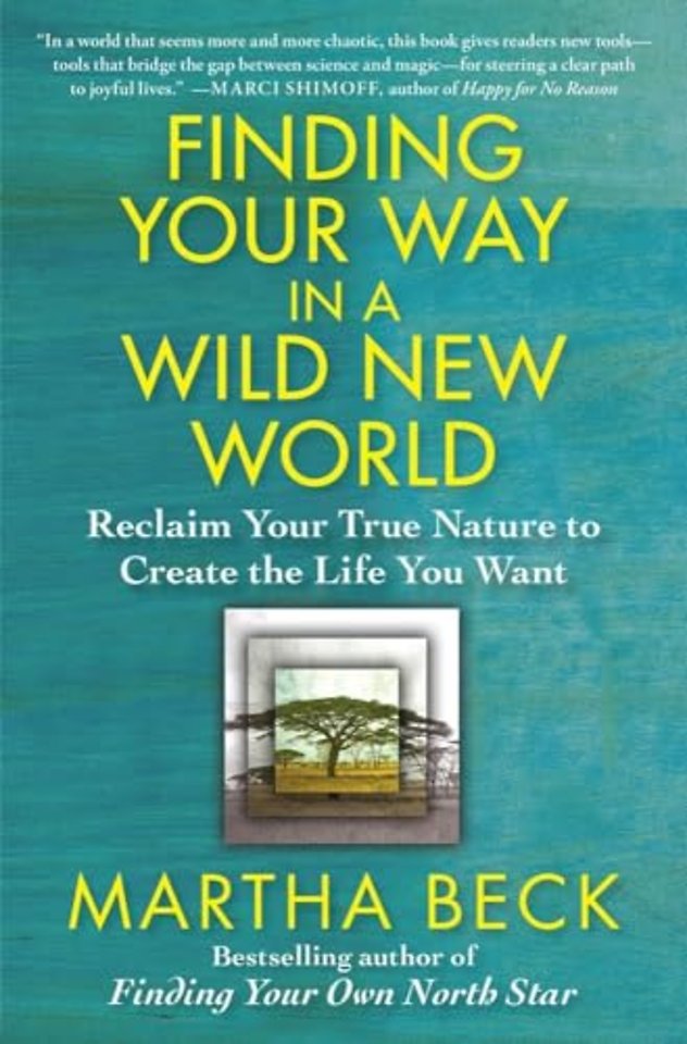 Finding Your Way in a Wild New World
