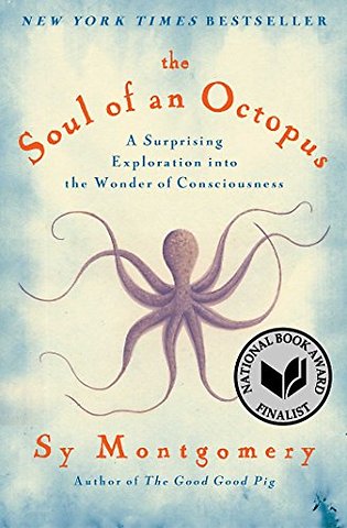 Soul of an Octopus