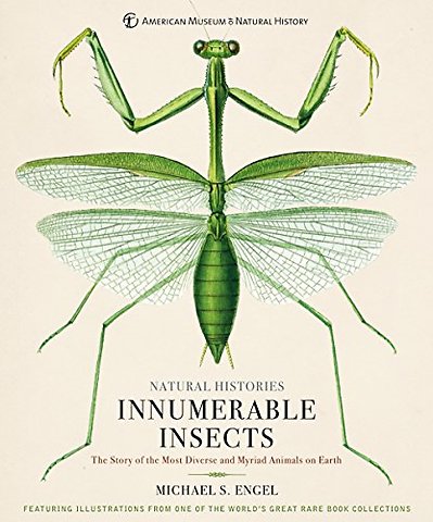 Innumerable Insects