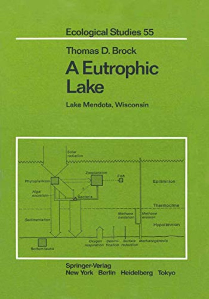 A Eutrophic Lake