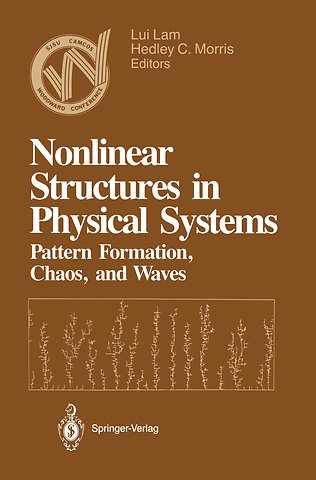 Nonlinear Structures in Physical Systems