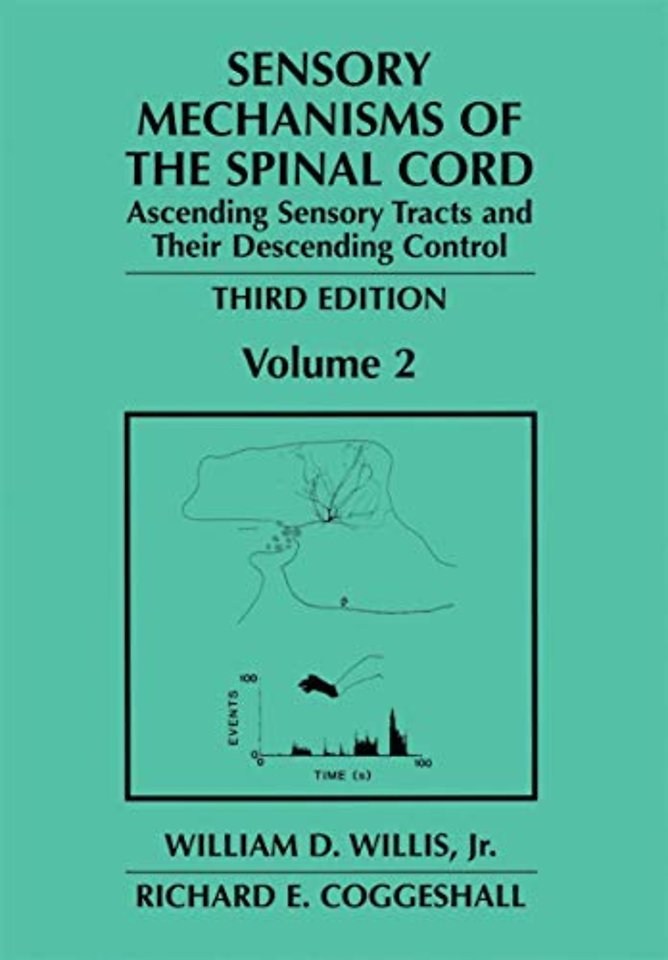 Sensory Mechanisms of the Spinal Cord