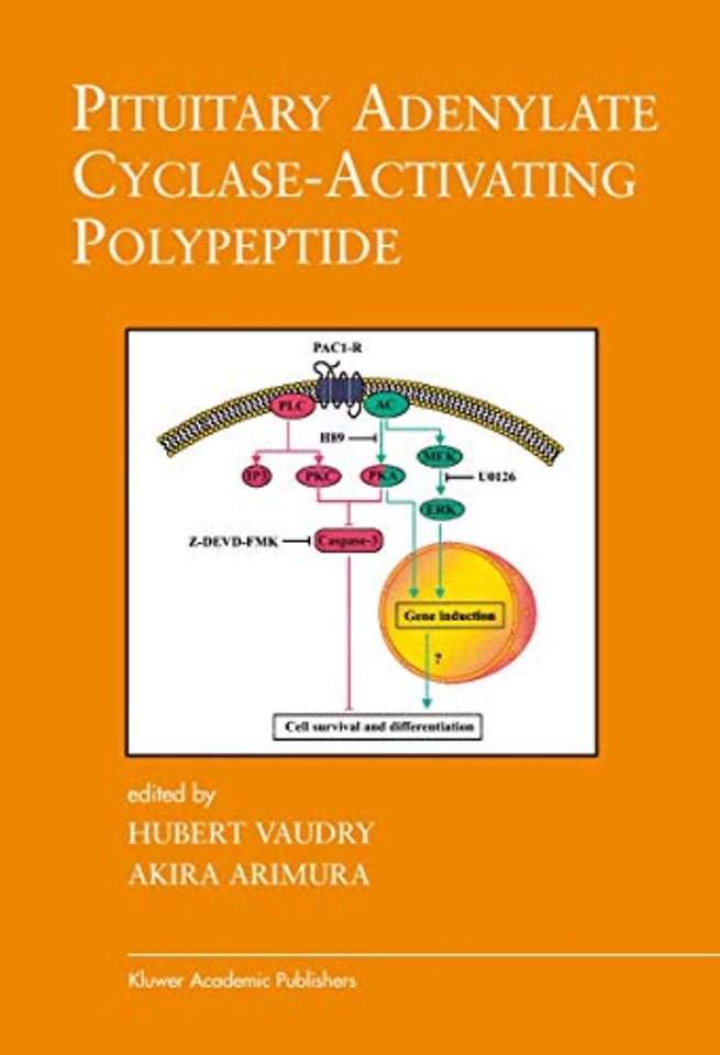 Pituitary Adenylate Cyclase-Activating Polypeptide