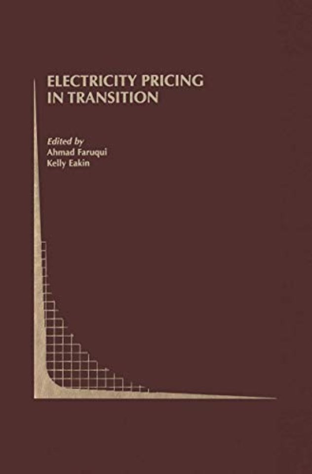 Electricity Pricing in Transition