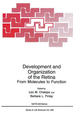 Development and Organization of the Retina
