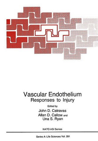 Vascular Endothelium