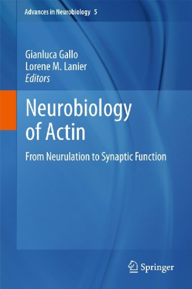 Neurobiology of Actin