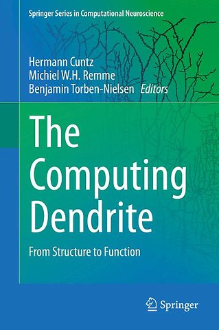 The Computing Dendrite