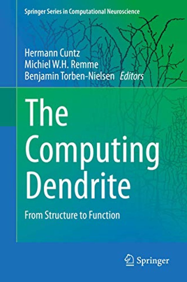 The Computing Dendrite