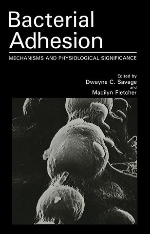 Bacterial Adhesion