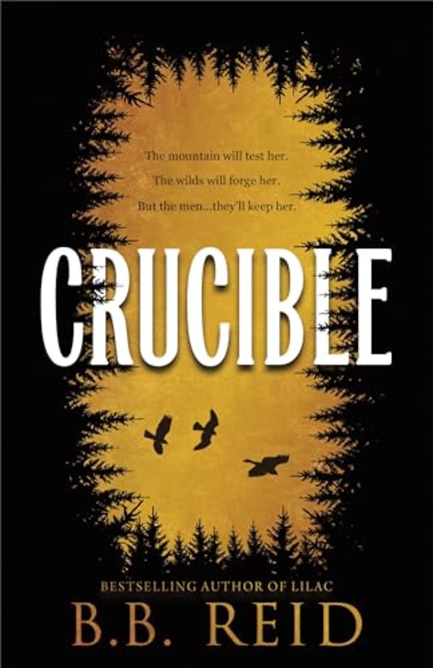 Crucible