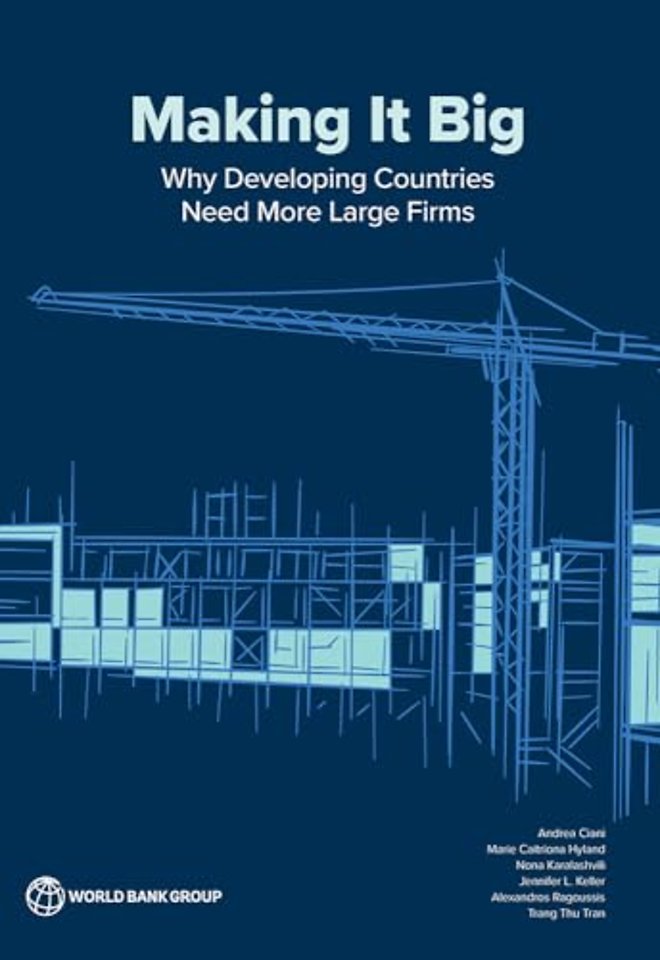 Making It Big – Why Developing Countries Need More Large Firms