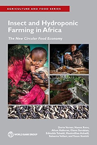 Insect and Hydroponic Farming in Africa – The New Circular Food Economy